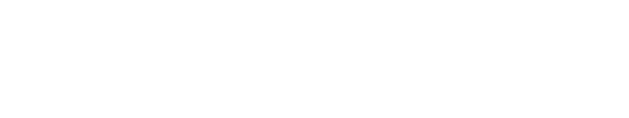 Lenz & Saas Logo